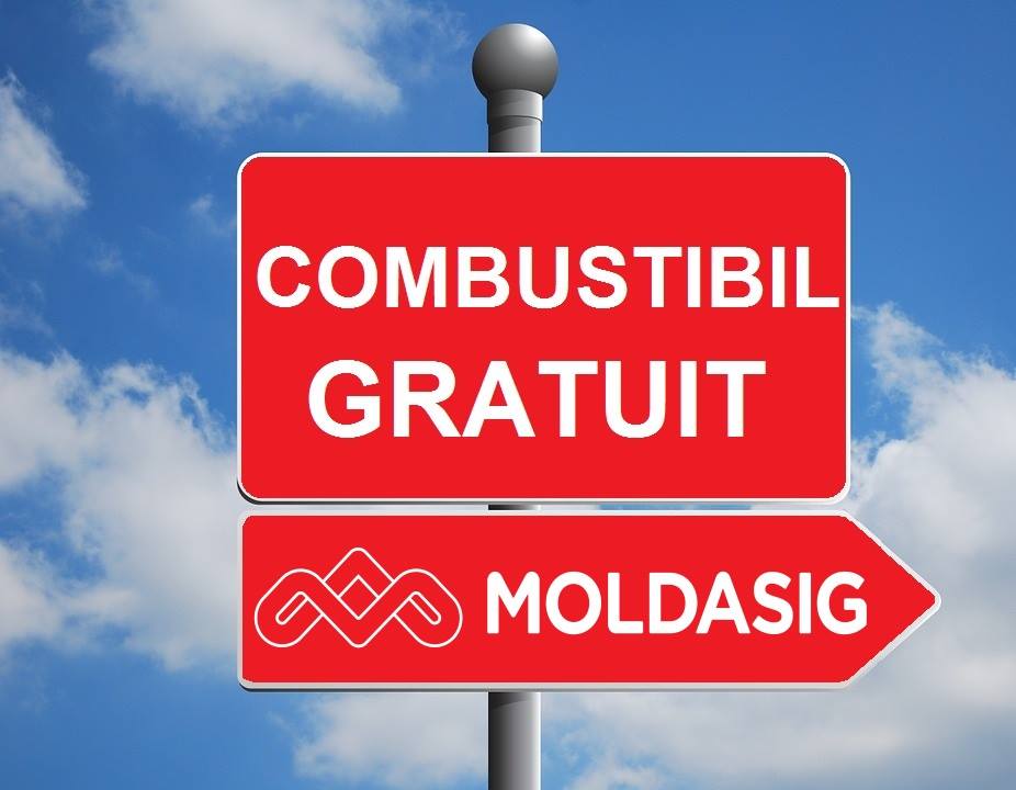 Conclusion of the "Insured Car - Guaranteed Fuel!" Campaign