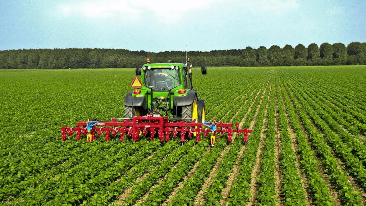 Asigurarea riscurilor în agricultură